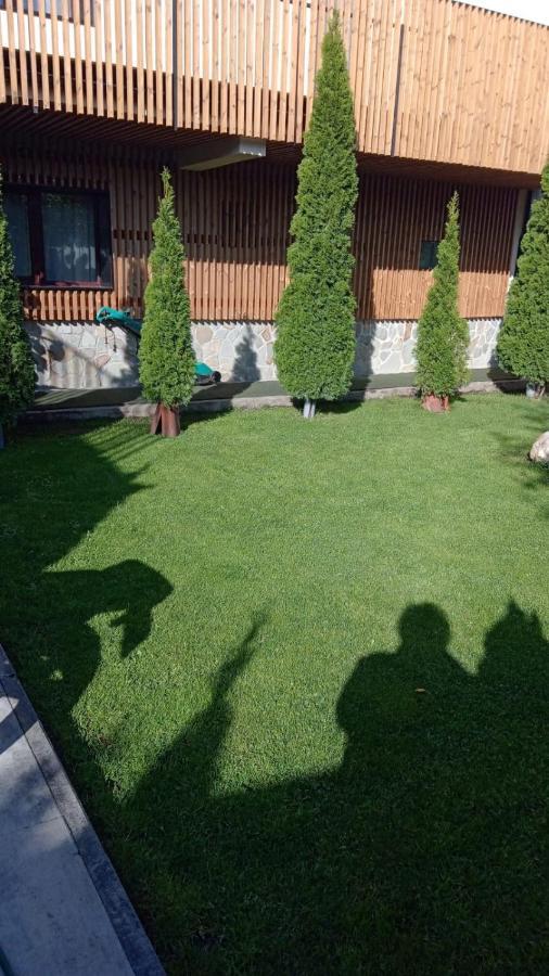 Hotel Casa Borgo à Braşov Extérieur photo